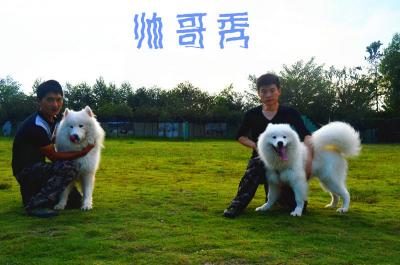 帅哥秀