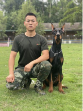 赖强(训犬师)
