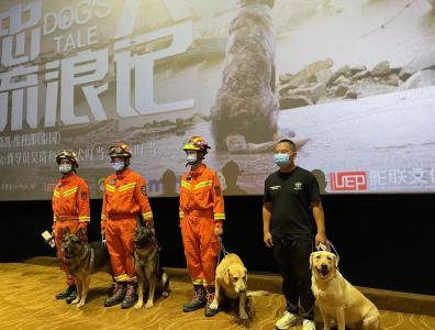 成都家宝训犬学校工作犬