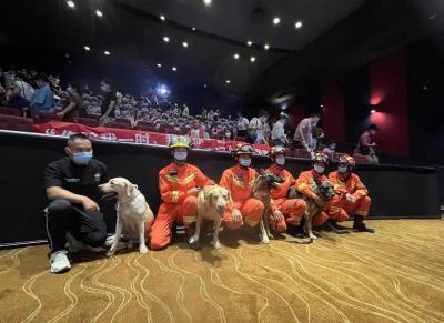 家宝训犬学校-工作犬训练
