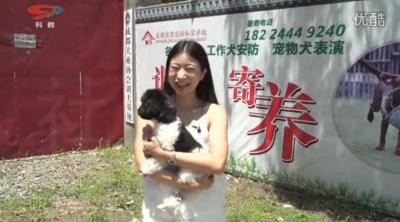 成都家宝训犬基地走进四川电视台社区生活栏目