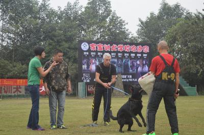 国际******外教训犬中