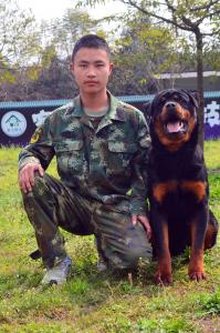 童华强（训犬师）
