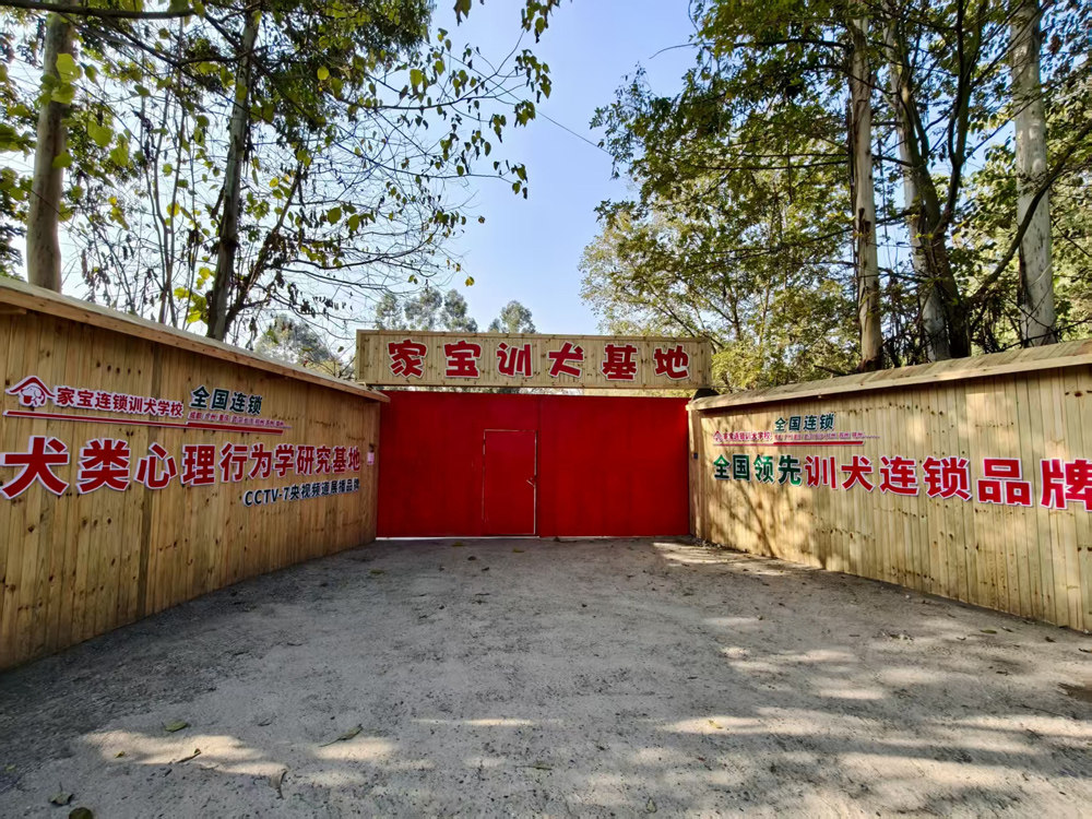 家宝训犬校区