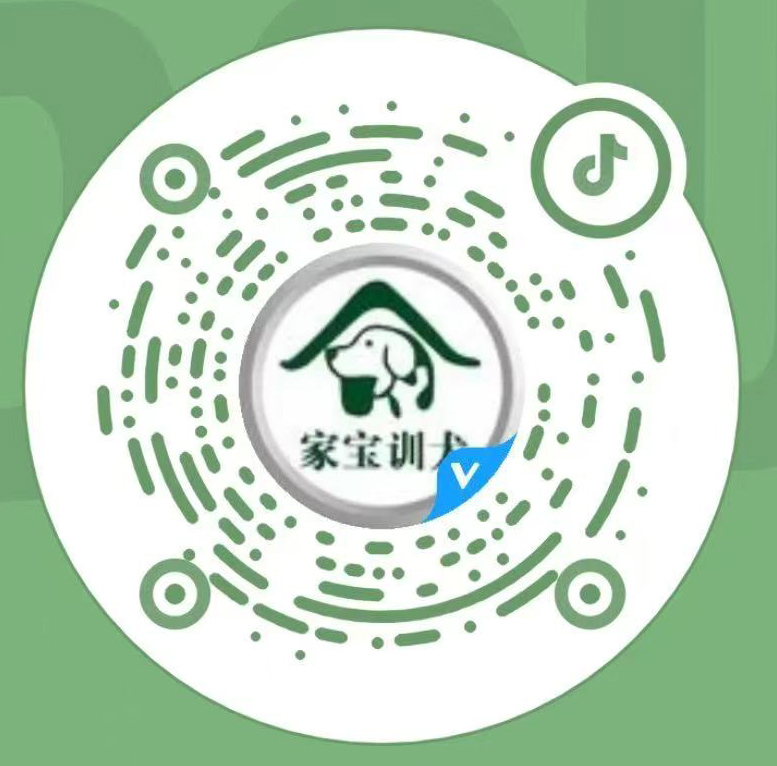 抖音二维码