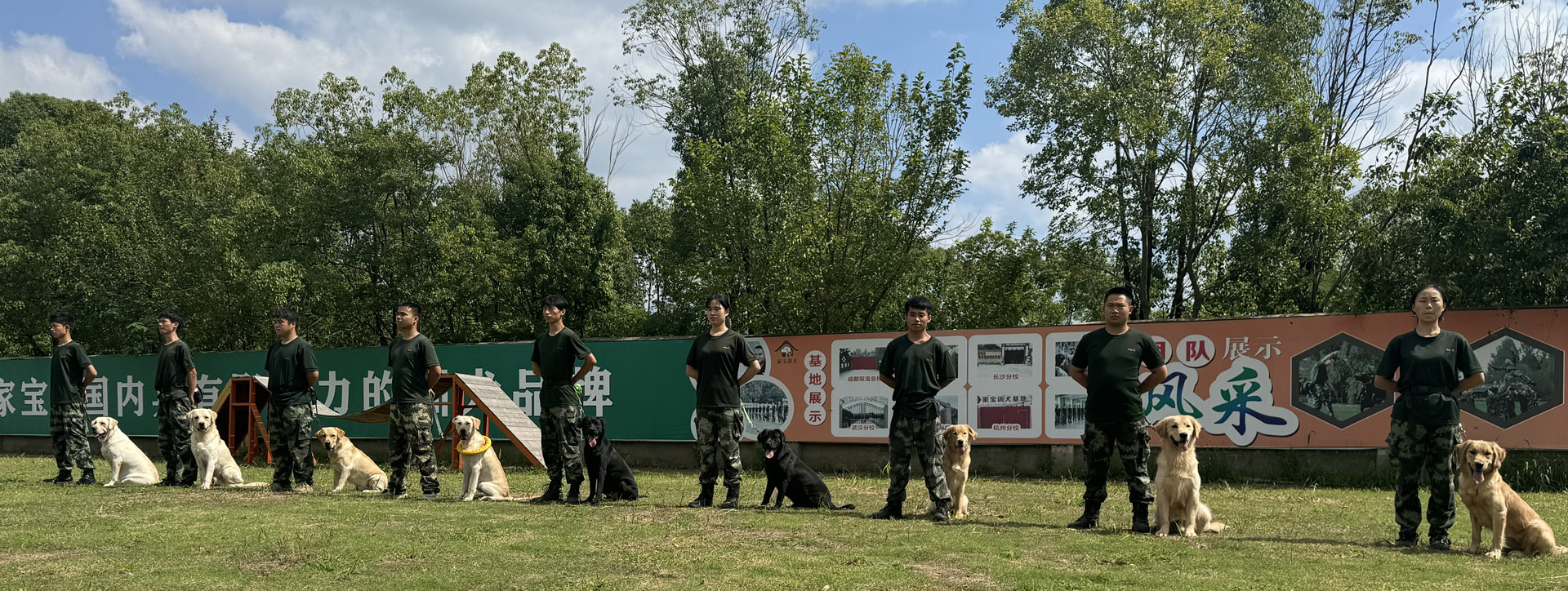 全国分校｜家宝成都犬类行为科学研究所全国分校
