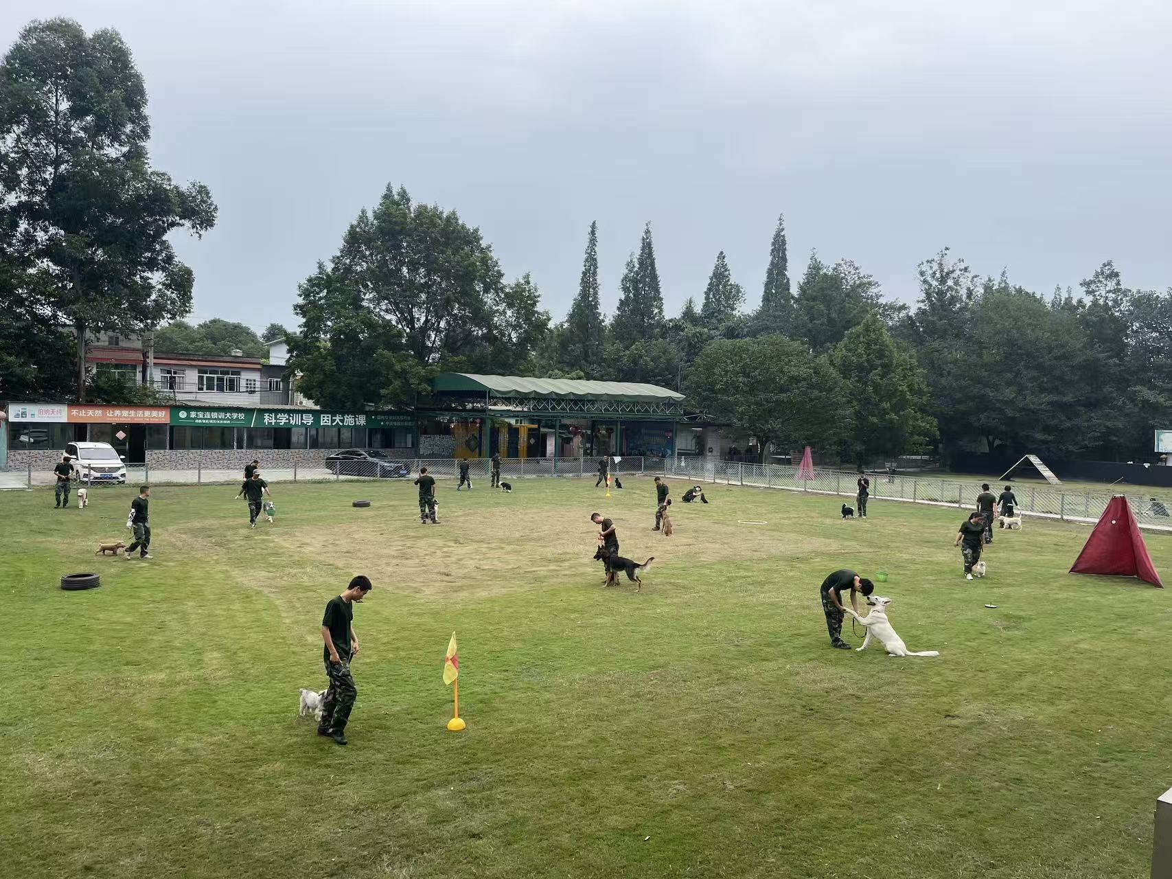 科学知识库｜成都训犬_成都训犬基地_成都狗狗训犬学校-家宝训犬学校【官网】 家宝成都训犬基地—四川家宝宠物服务有限公司