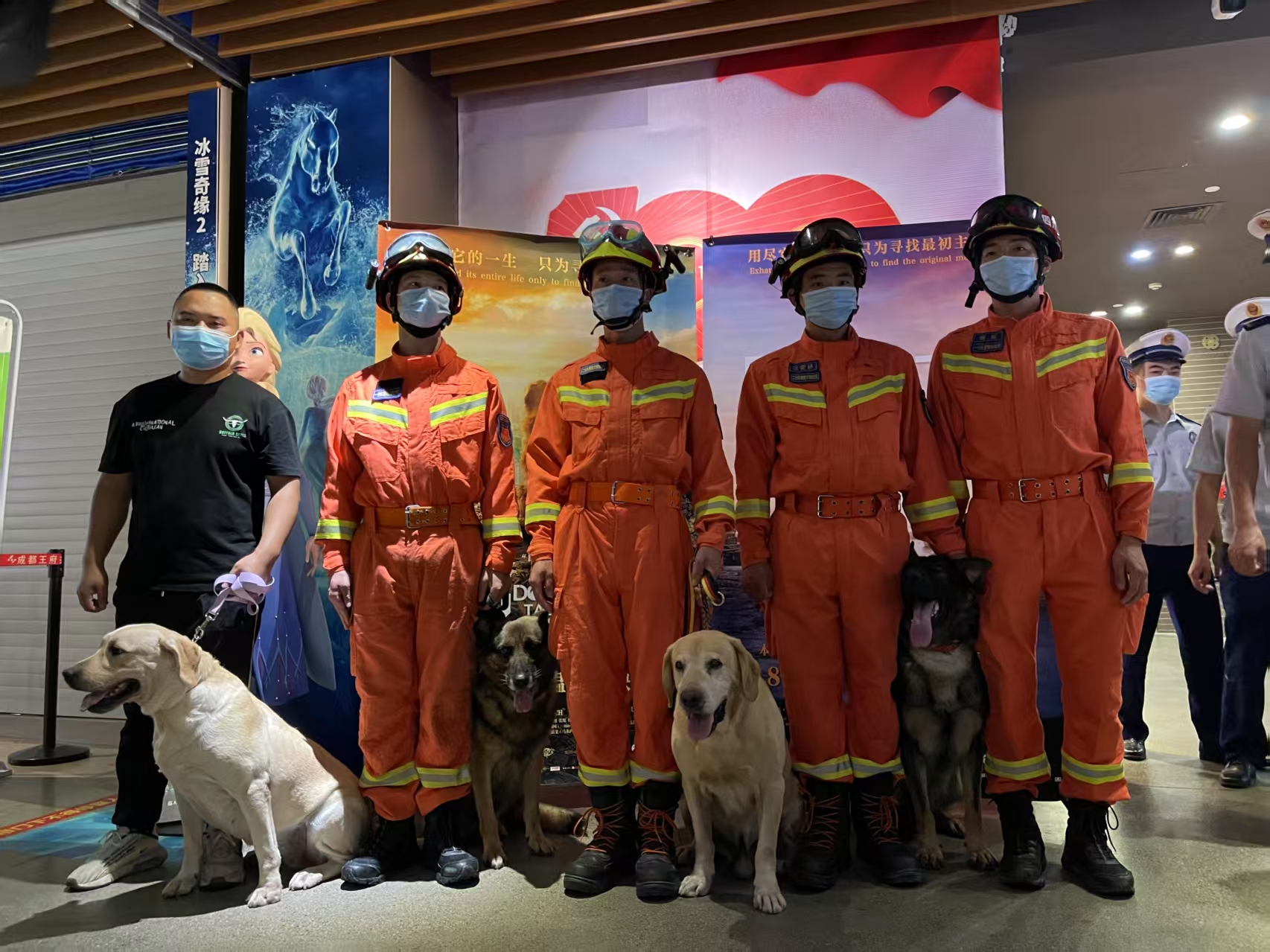 银幕背后的&ldquo;叮当&rdquo;时刻，如何用影视衡量训犬的专业？