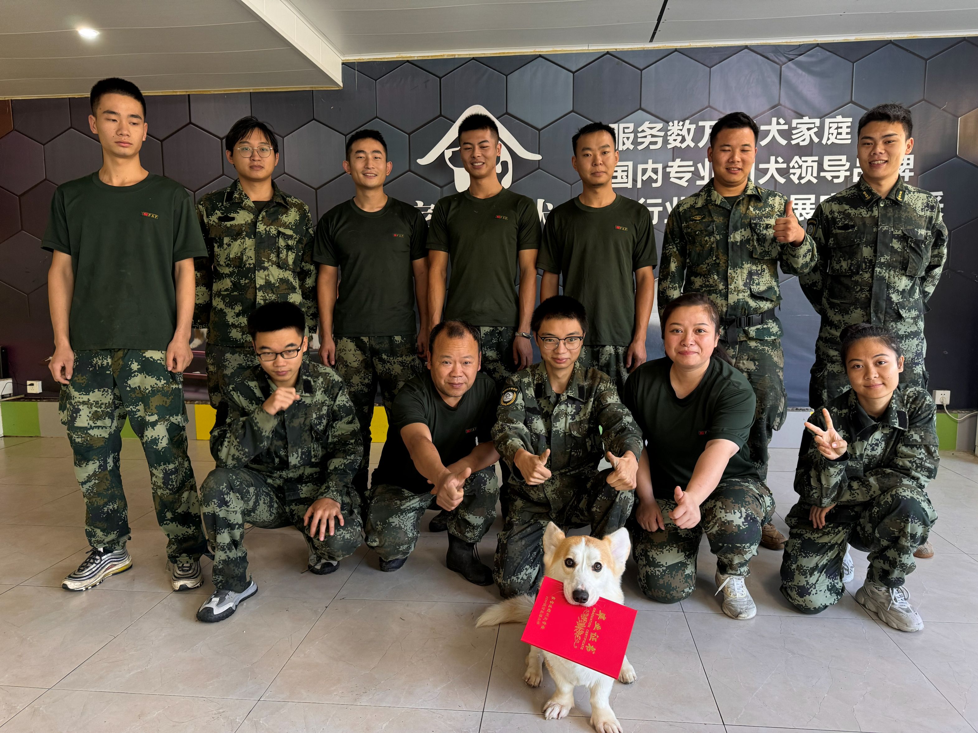 关于家宝训犬的品牌实力介绍&zwnj;